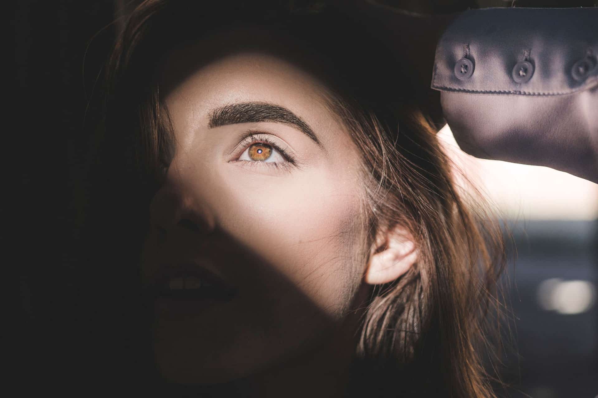             Vision		